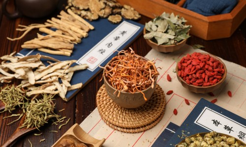 中药三角草的功效-权威草药三角草图片大全大图平台,分享专业三角草图及功效知识_草药三角草图片网