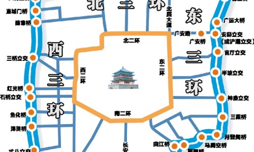 中药三角草的功效-权威草药三角草图片大全大图平台,分享专业三角草图及功效知识_草药三角草图片网