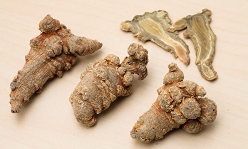 三角草图及功效-权威草药三角草图片大全大图平台,分享专业三角草图及功效知识_草药三角草图片网