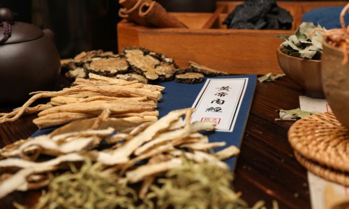 中药三角草-权威草药三角草图片大全大图平台,分享专业三角草图及功效知识_草药三角草图片网